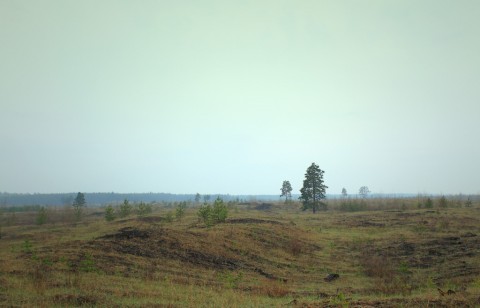 Мокрый пейзаж 