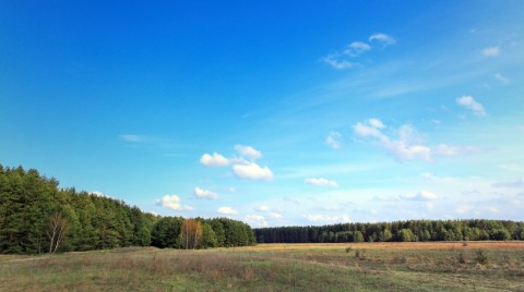 Апрель на солонцах 