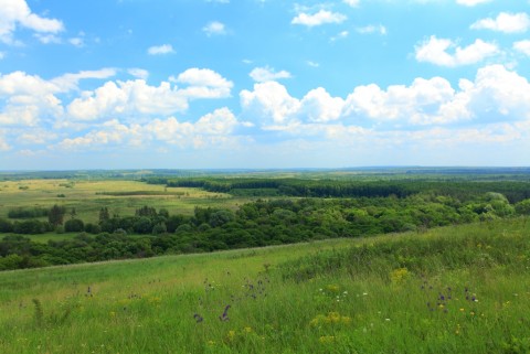 Кременской лес